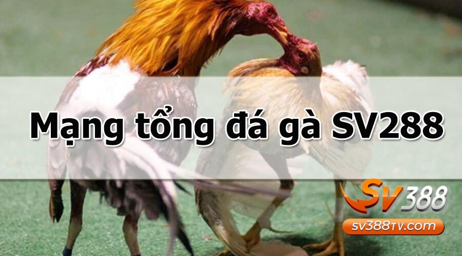 SV288 là một trang chuyên cung cấp đá gà của nhà cái SV388