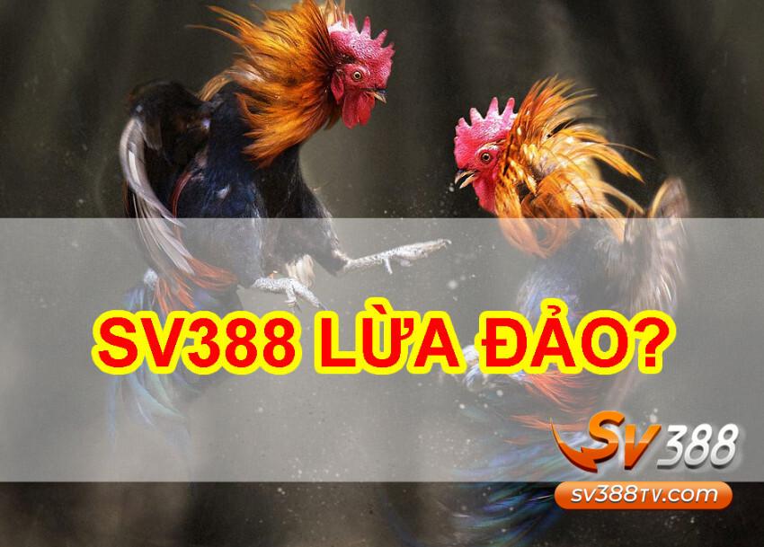 SV388 bị dính nghi vấn lừa đảo như thế nào?