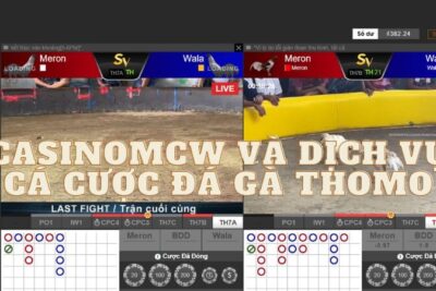 Casinomcw – Dịch vụ cá cược đá gà thomo đỉnh của chóp