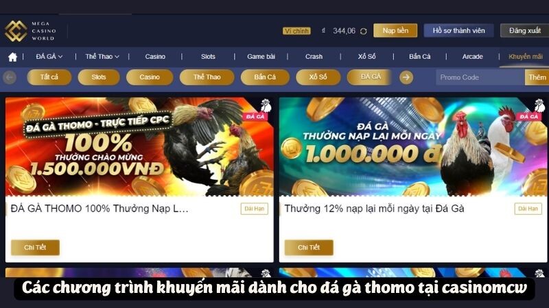 Các chương trình khuyến mãi dành cho đá gà thomo tại casinomcw