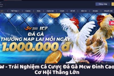 MCW – Trải Nghiệm Cá Cược Đá Gà Mcw Đỉnh Cao Và Cơ Hội Thắng Lớn